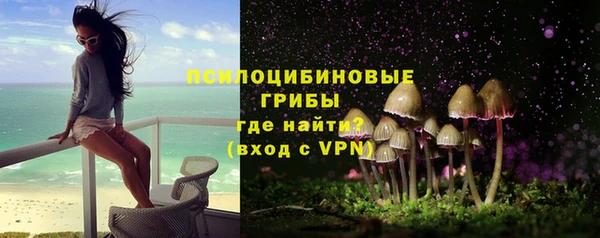 mdpv Няндома